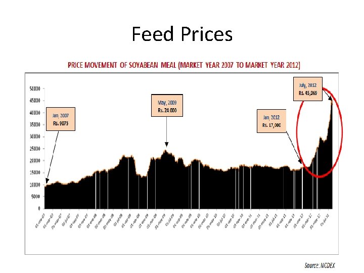Feed Prices 