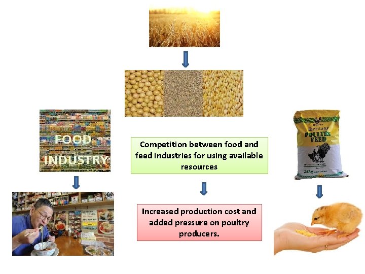 Competition between food and feed industries for using available resources Increased production cost and