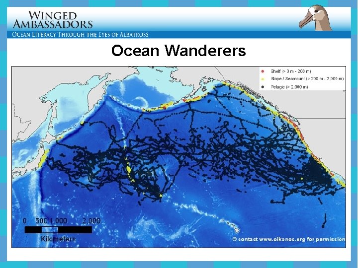 Ocean Wanderers 