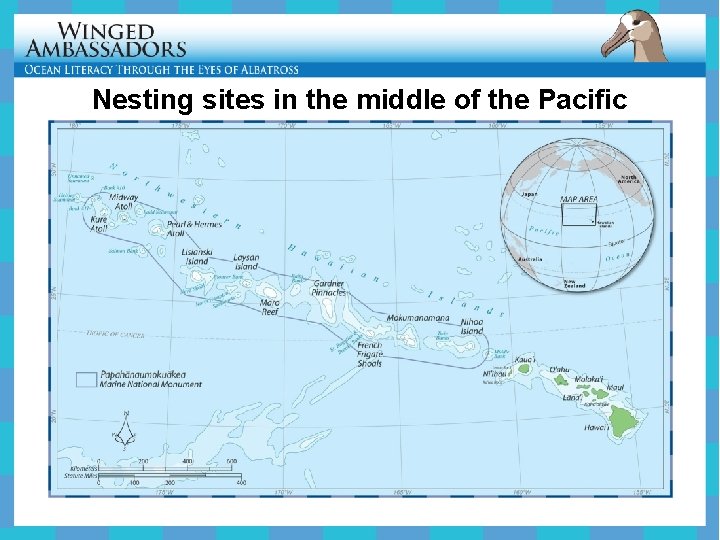 Nesting sites in the middle of the Pacific 