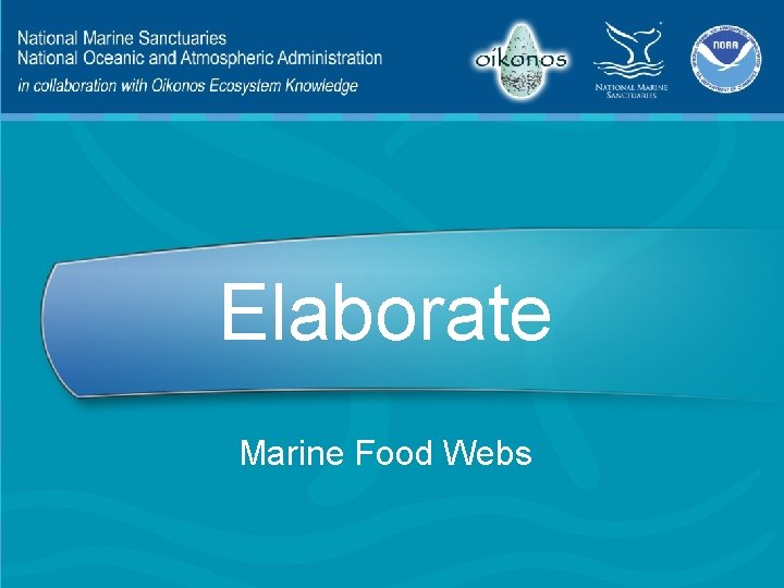 Elaborate Marine Food Webs 