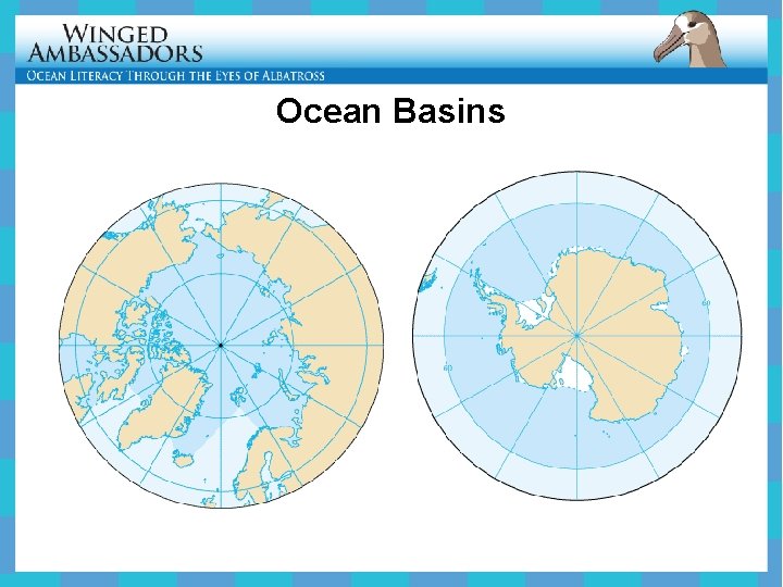 Ocean Basins 