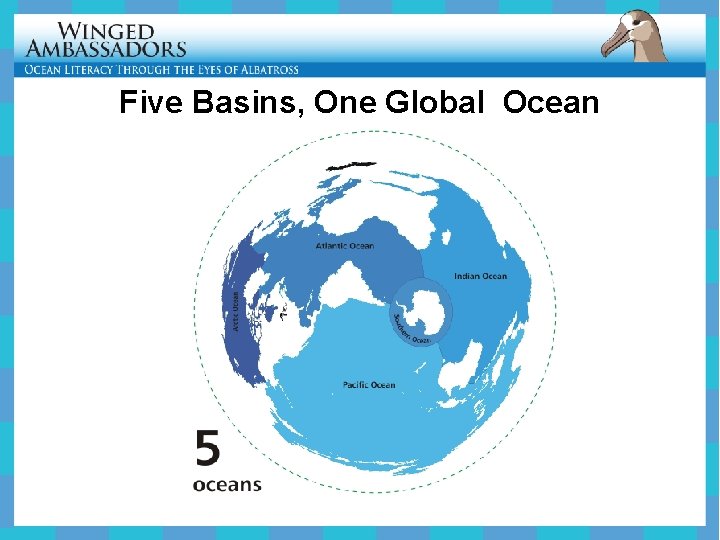 Five Basins, One Global Ocean 