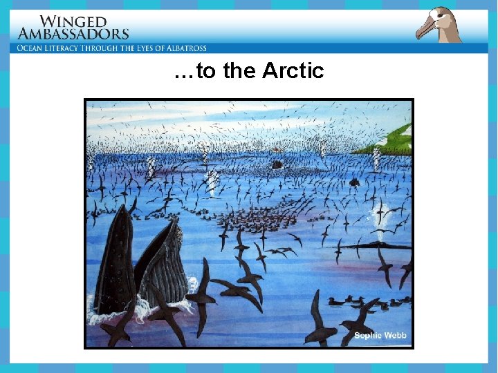 …to the Arctic 