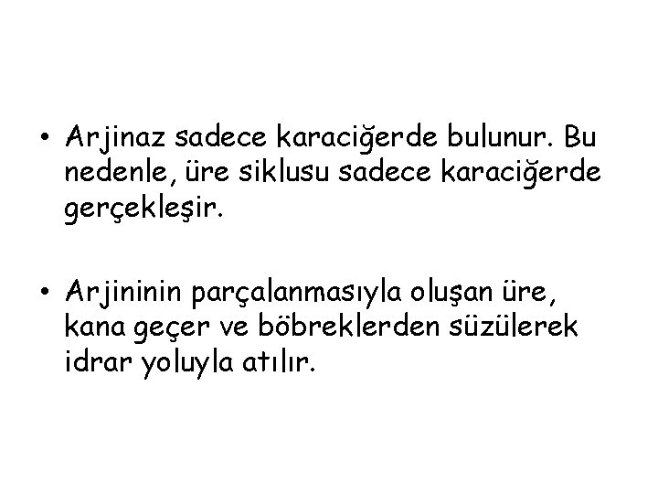  • Arjinaz sadece karaciğerde bulunur. Bu nedenle, üre siklusu sadece karaciğerde gerçekleşir. •