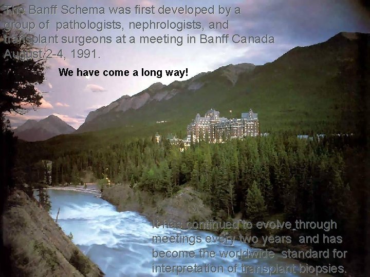 The Banff Schema was first developed by a group of pathologists, nephrologists, and transplant