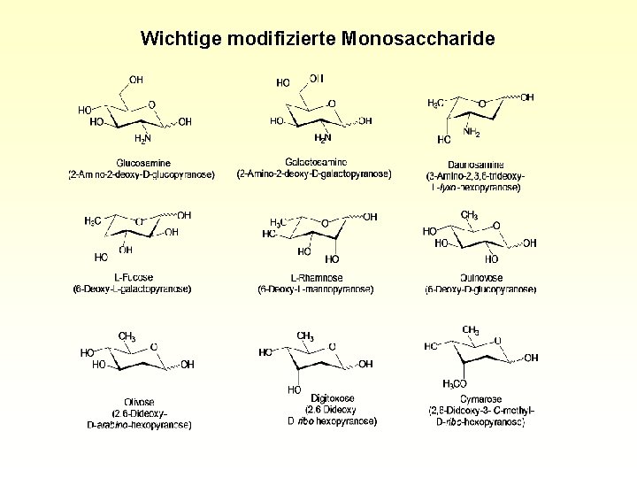 Wichtige modifizierte Monosaccharide 
