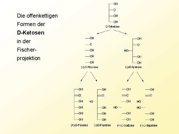 Die offenkettigen Formen der D-Ketosen in der Fischerprojektion 