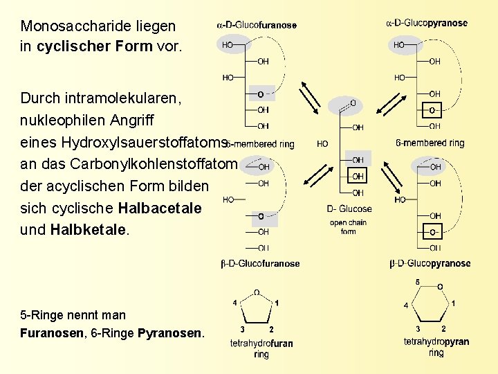 Monosaccharide liegen in cyclischer Form vor. Durch intramolekularen, nukleophilen Angriff eines Hydroxylsauerstoffatoms an das