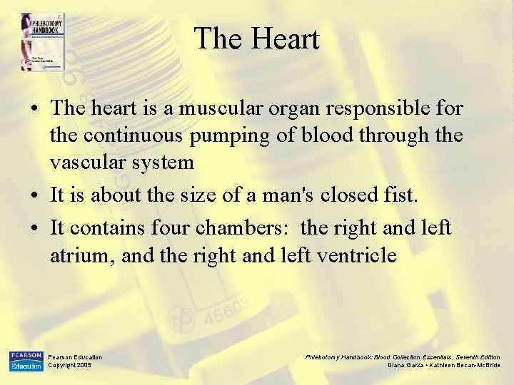 The Heart • The heart is a muscular organ responsible for the continuous pumping