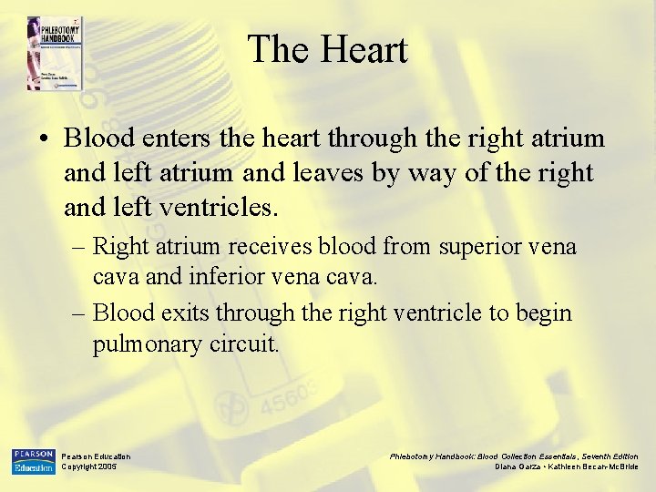 The Heart • Blood enters the heart through the right atrium and left atrium