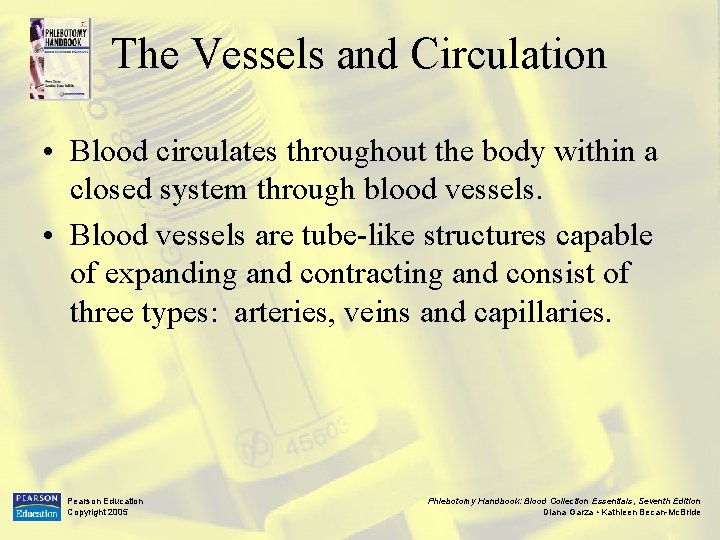The Vessels and Circulation • Blood circulates throughout the body within a closed system