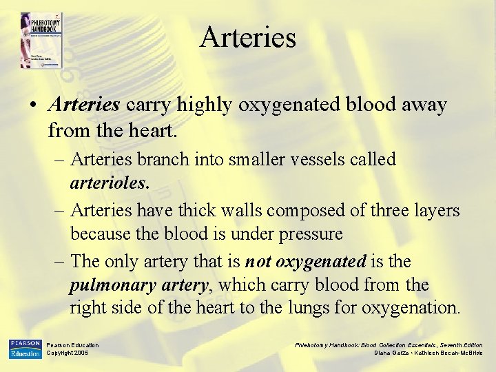Arteries • Arteries carry highly oxygenated blood away from the heart. – Arteries branch