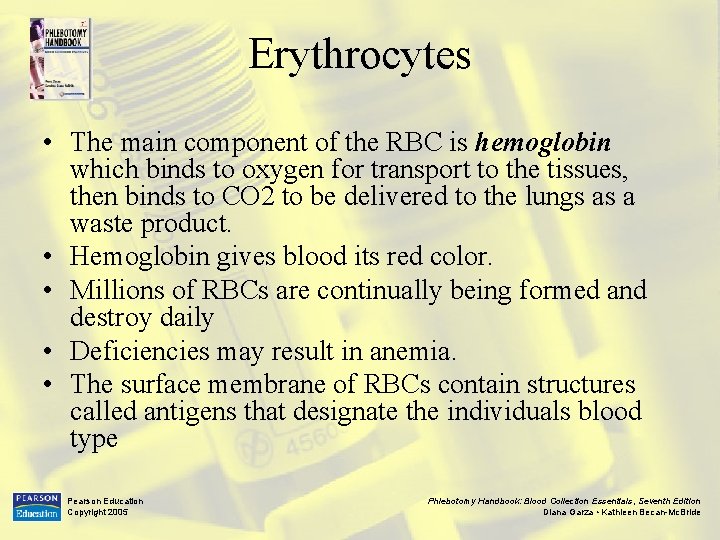 Erythrocytes • The main component of the RBC is hemoglobin which binds to oxygen