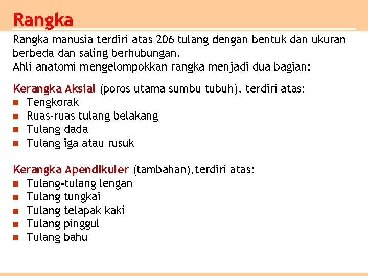 Rangka manusia terdiri atas 206 tulang dengan bentuk dan ukuran berbeda dan saling berhubungan.