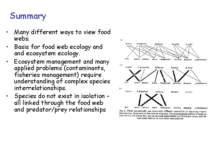 Summary • Many different ways to view food webs. • Basis for food web