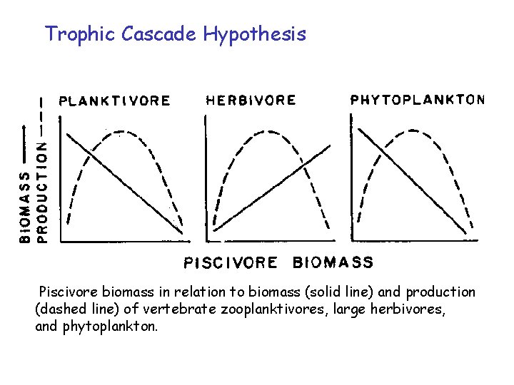 Trophic Cascade Hypothesis Piscivore biomass in relation to biomass (solid line) and production (dashed