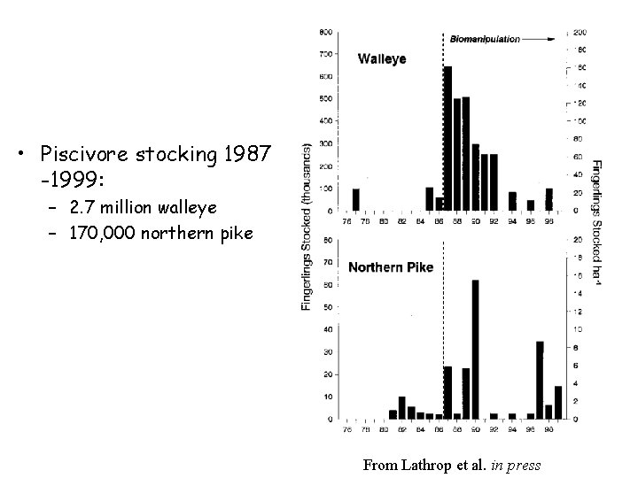  • Piscivore stocking 1987 -1999: – 2. 7 million walleye – 170, 000