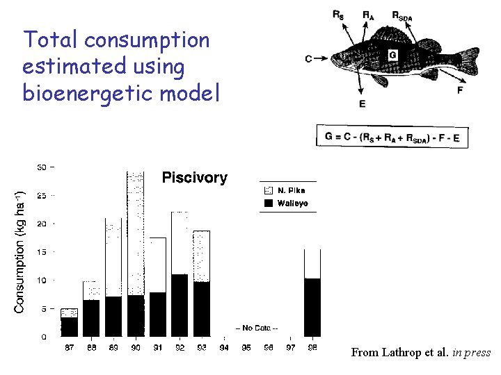 Total consumption estimated using bioenergetic model From Lathrop et al. in press 