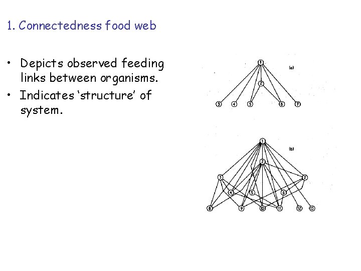 1. Connectedness food web • Depicts observed feeding links between organisms. • Indicates ‘structure’