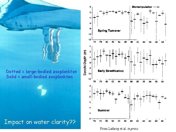 Impact on water clarity? ? Dotted = large-bodied zooplankton Solid = small-bodied zooplankton Impact