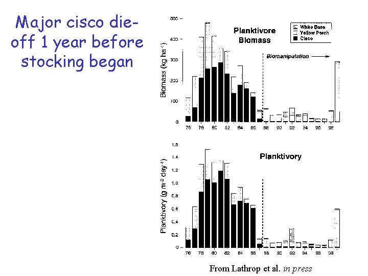 Major cisco dieoff 1 year before stocking began From Lathrop et al. in press