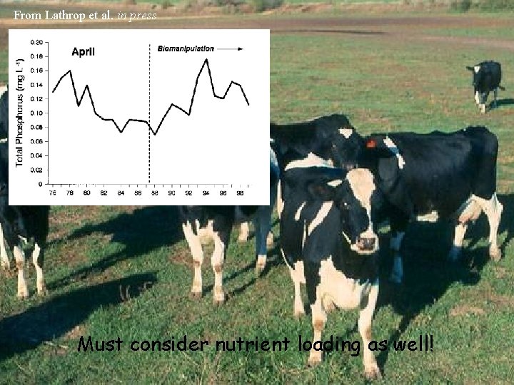 From Lathrop et al. in press Must consider nutrient loading as well! 