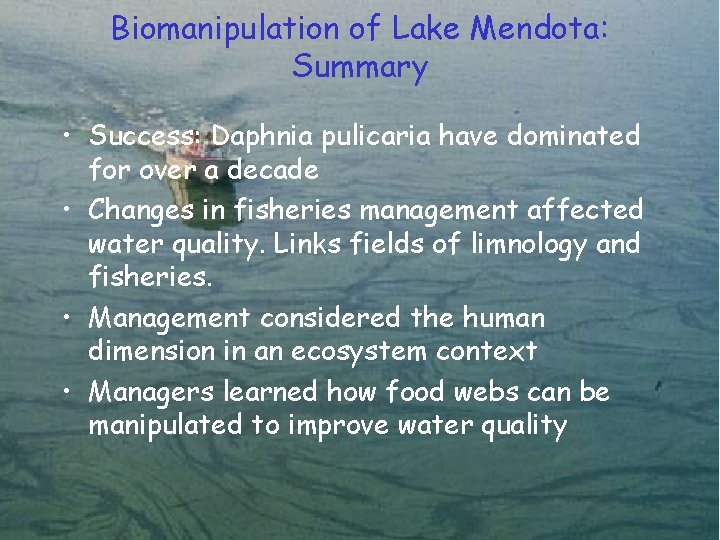 Biomanipulation of Lake Mendota: Summary • Success: Daphnia pulicaria have dominated for over a