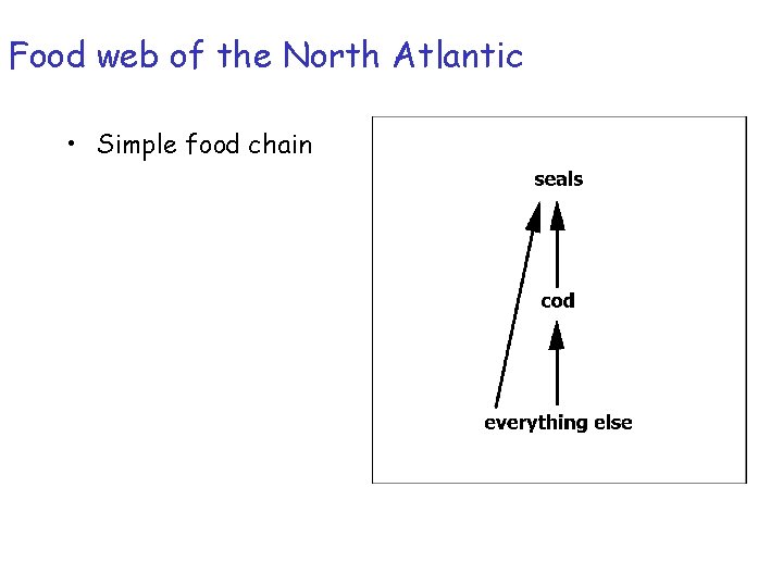 Food web of the North Atlantic • Simple food chain 