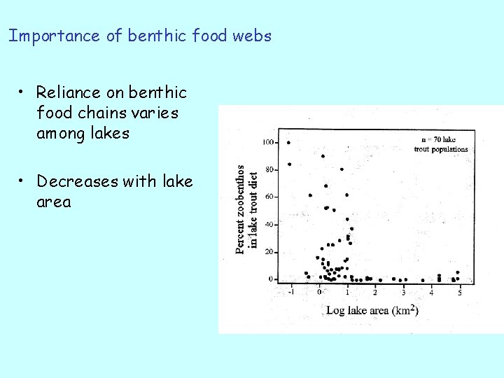 Importance of benthic food webs • Reliance on benthic food chains varies among lakes