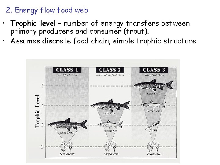 2. Energy flow food web • Trophic level – number of energy transfers between