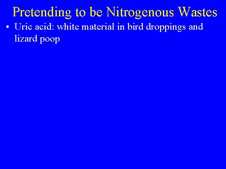 Pretending to be Nitrogenous Wastes • Uric acid: white material in bird droppings and