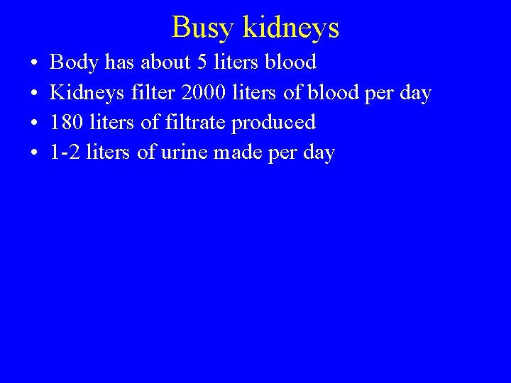 Busy kidneys • • Body has about 5 liters blood Kidneys filter 2000 liters