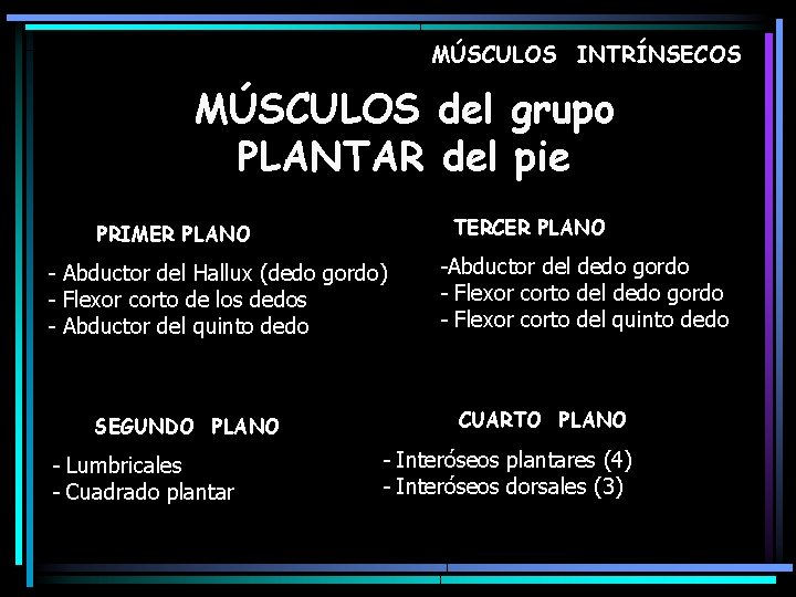 MÚSCULOS INTRÍNSECOS MÚSCULOS del grupo PLANTAR del pie TERCER PLANO PRIMER PLANO - Abductor