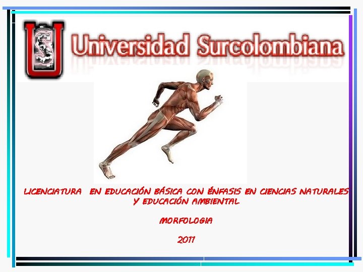 LICENCIATURA EN EDUCACIÓN BÁSICA CON ÉNFASIS EN CIENCIAS NATURALES Y EDUCACIÓN AMBIENTAL MORFOLOGIA 2011