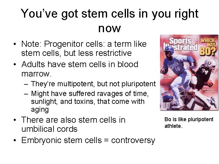 You’ve got stem cells in you right now • Note: Progenitor cells: a term
