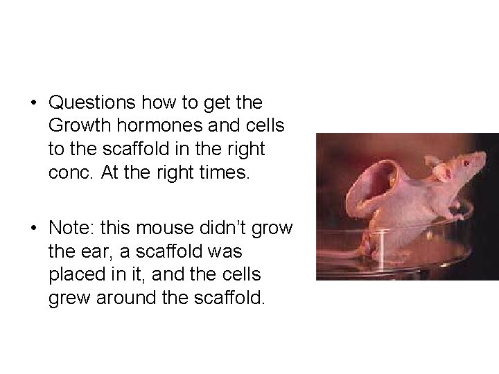  • Questions how to get the Growth hormones and cells to the scaffold