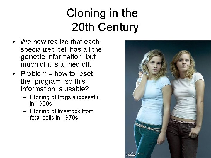 Cloning in the 20 th Century • We now realize that each specialized cell
