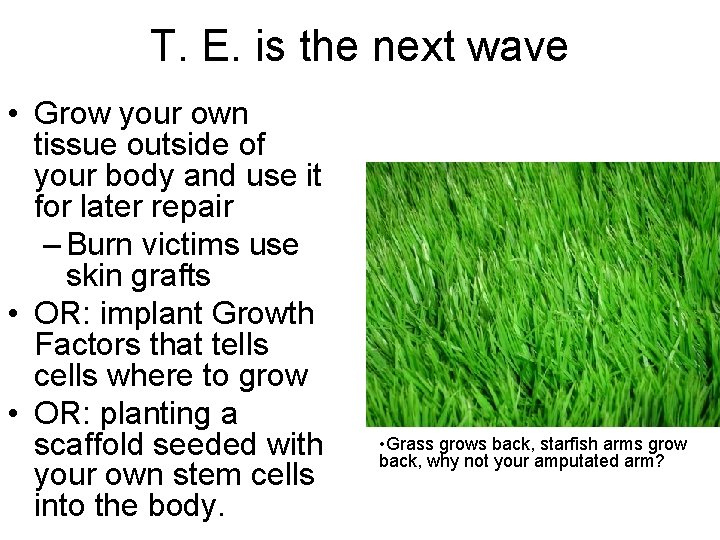 T. E. is the next wave • Grow your own tissue outside of your