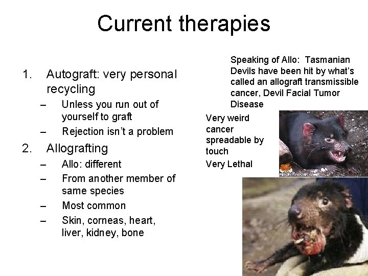 Current therapies 1. Autograft: very personal recycling – – 2. Unless you run out