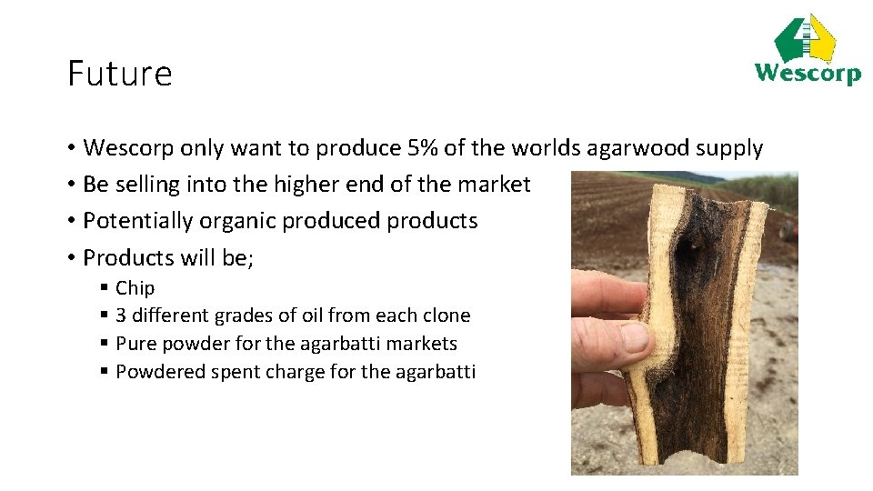 Future • Wescorp only want to produce 5% of the worlds agarwood supply •