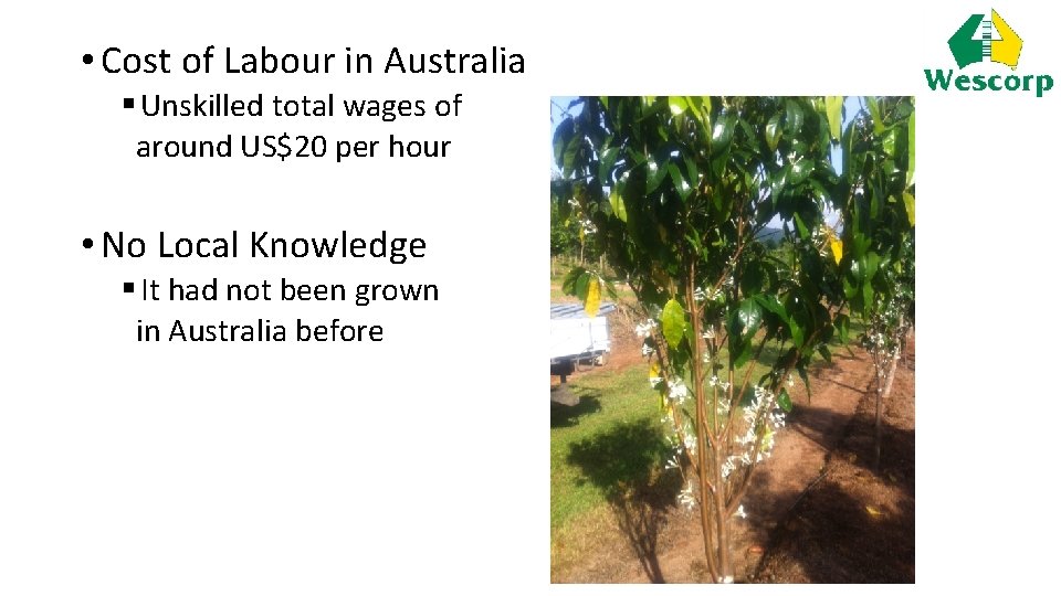  • Cost of Labour in Australia § Unskilled total wages of around US$20