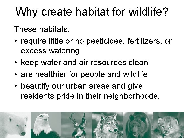 Why create habitat for wildlife? These habitats: • require little or no pesticides, fertilizers,