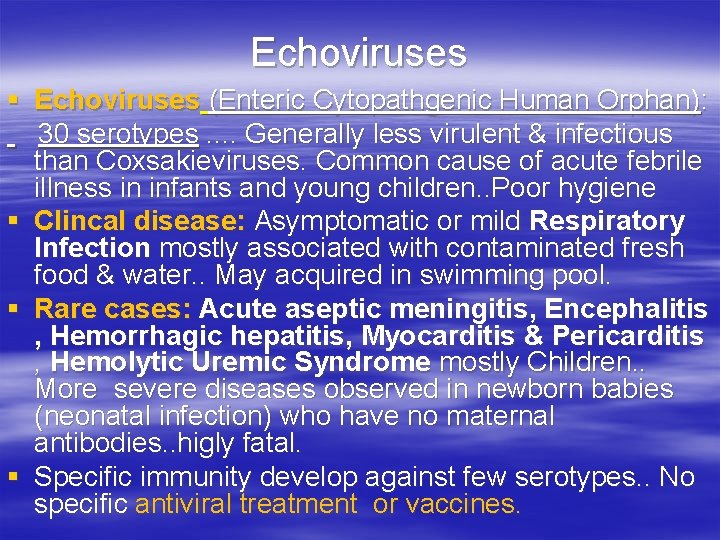 Echoviruses § Echoviruses (Enteric Cytopathgenic Human Orphan): 30 serotypes. . Generally less virulent &
