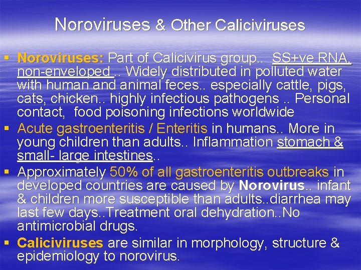  Noroviruses & Other Caliciviruses § Noroviruses: Part of Calicivirus group. . SS+ve RNA,