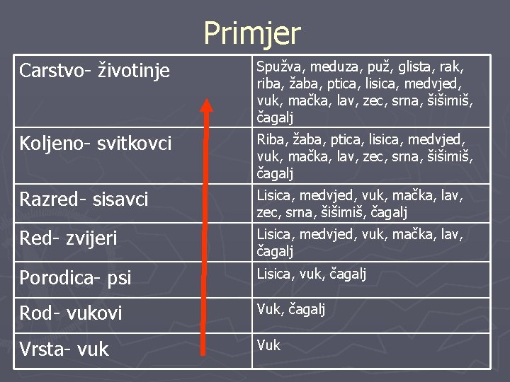 Primjer Carstvo- životinje Spužva, meduza, puž, glista, rak, riba, žaba, ptica, lisica, medvjed, vuk,
