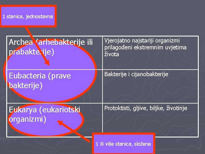 1 stanica, jednostavna Archea (arhebakterije ili prabakterije) Vjerojatno najstariji organizmi prilagođeni ekstremnim uvjetima života