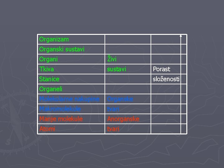 Organizam Organski sustavi Organi Živi Tkiva sustavi Stanice Porast složenosti Organeli Molekularne nakupine Organske