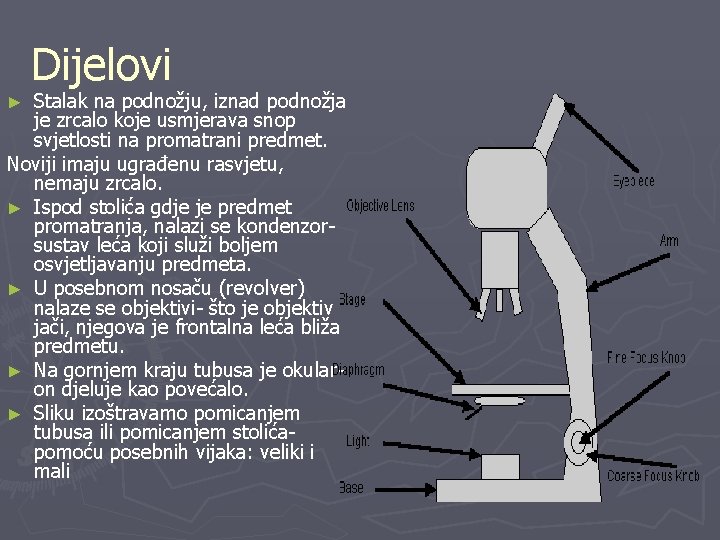 Dijelovi Stalak na podnožju, iznad podnožja je zrcalo koje usmjerava snop svjetlosti na promatrani