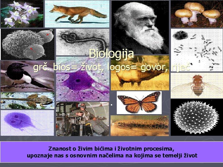 Biologija grč. bios= život, logos= govor, riječ. Znanost o živim bićima i životnim procesima,